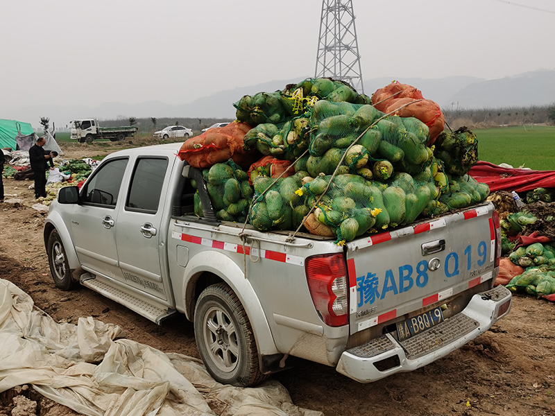 新冠疫情期間，幫扶蘿卜滯銷(xiāo)戶